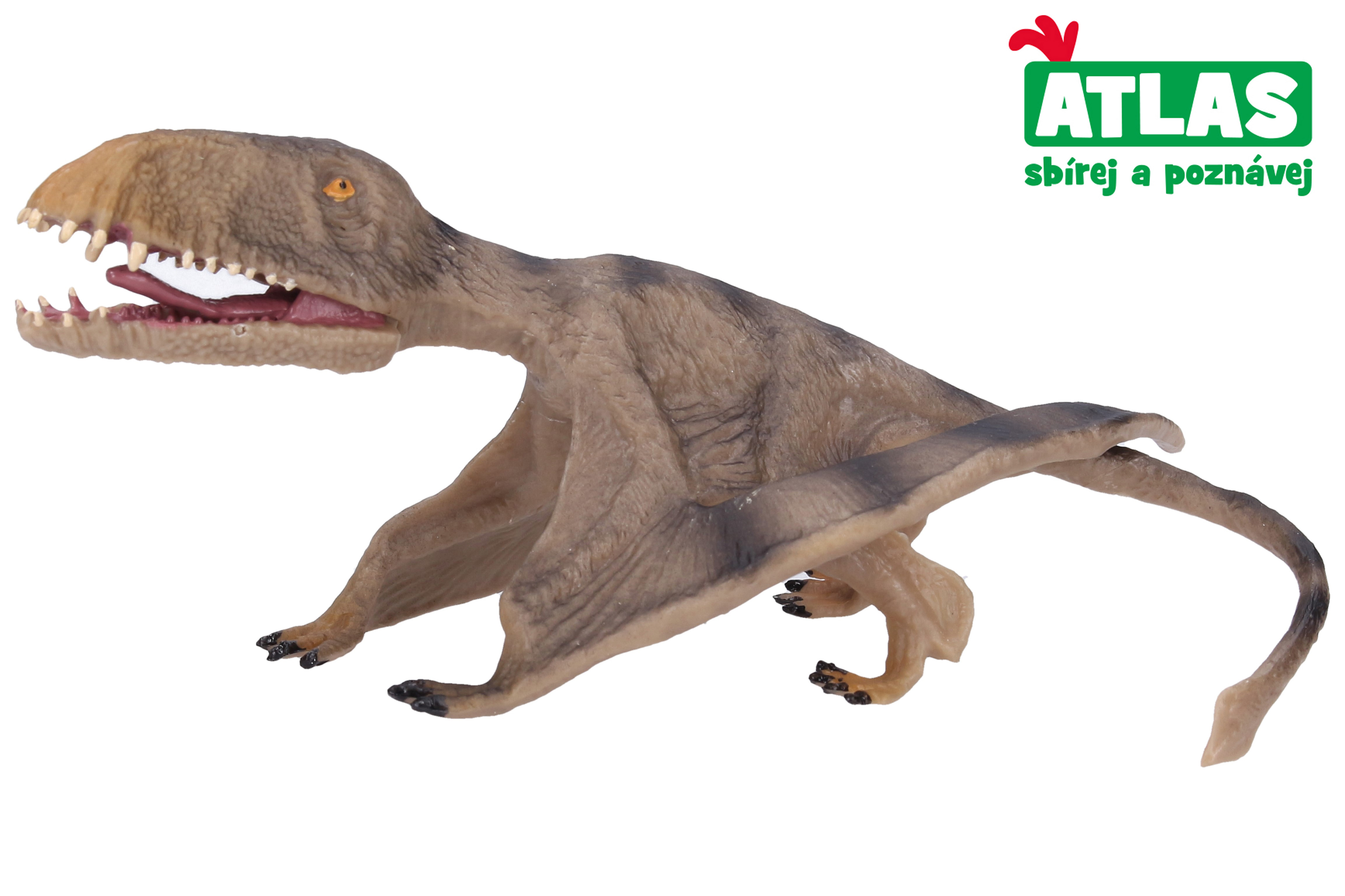 B - Figurka Pterosaurus 17,2 cm