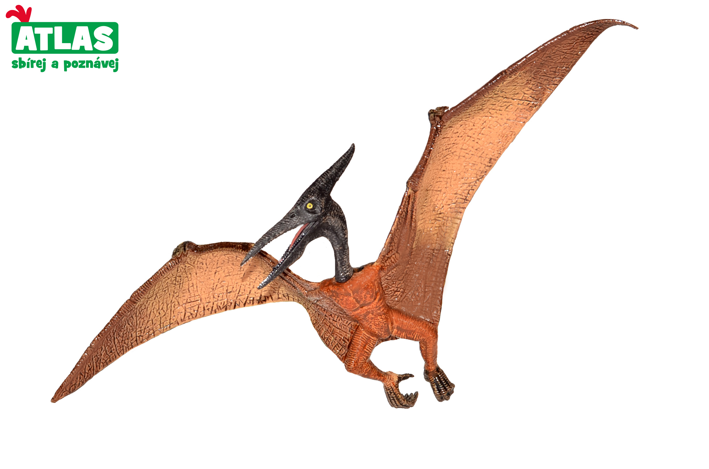 C - Figurka Dino Pteranodon 22 cm