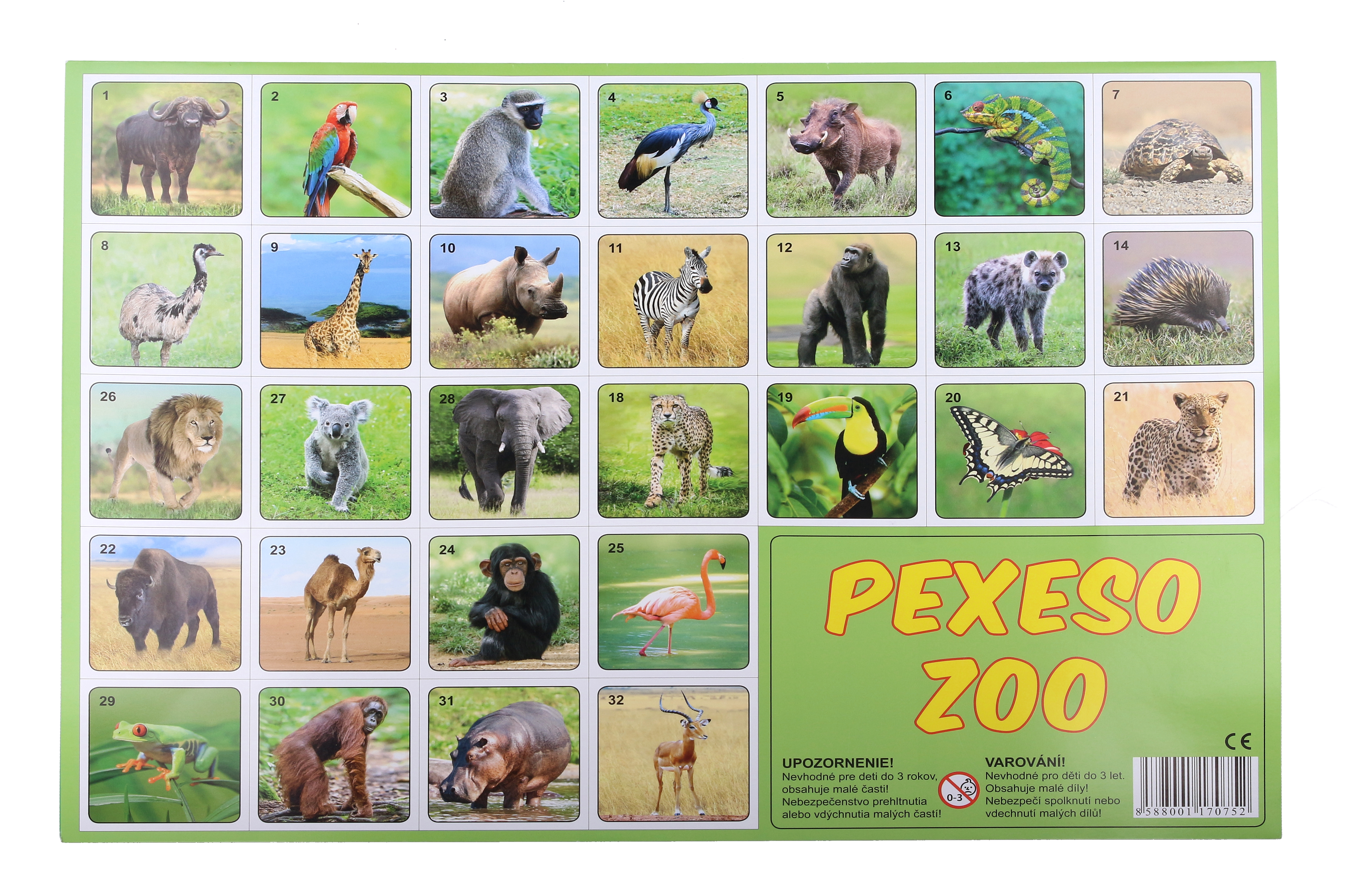 Pexeso Zoo fotografie